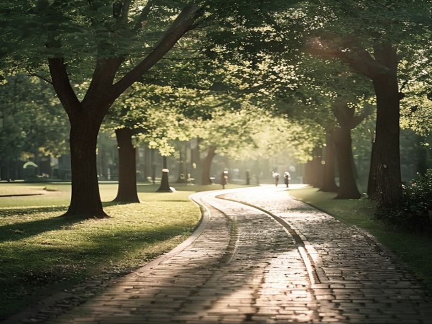 Lugn solig stig genom grön park i Stockholm, omgiven av träd och fredliga omgivningar